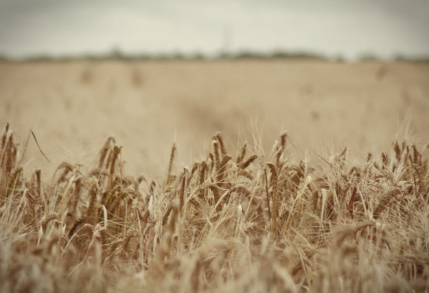 10968306374_05192fa02c_k