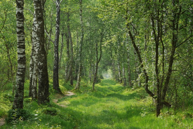 40128955940_2c648e5ff2_k